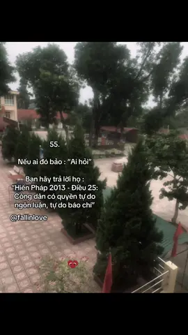 “Hiến Pháp 2013 - Điều 25: Công dân có quyền tự do ngôn luận, tự do báo chí”