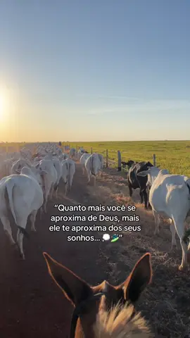 🏄🏻‍♂️🙌🏻… #viraltiktok#foryou#fyp#foryoupage#frases