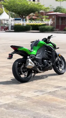 ပင်စိမ်းသီးလေးရှိသေးတယ်🍃#မူဆယ်မြို့တစ်နေရာ😘😘😘 #fypppppppp #fypシ゚viral🖤tiktok #foryoupage #z1000 