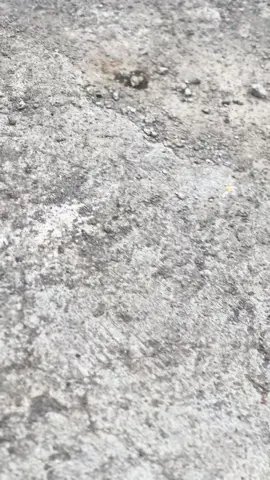 Bandung style👄#rxkingsiluman #fyppppppppppppppppppppppp 