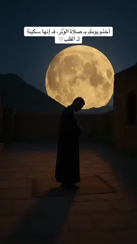 أختم يومك بـ صلاة الوّتر، فـ إنها سكينة لـ القلب🤍#الرجوع_الى_الله #الدال_على_الخير_كفاعله_🤲🌷 #الوتر #الوتر_جنه_القلوب #صالح_المغماسي 