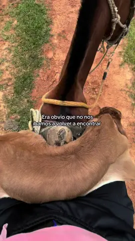 #CapCut 🤷‍♀️