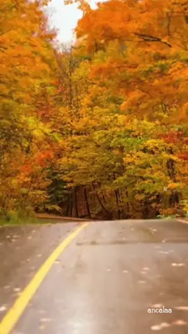 assalamu alaikum #bismillahirrahmanirrahim #motifasikehidupan #bersyukurselalu #doakuhariini #fyppppppppppppppppppp 