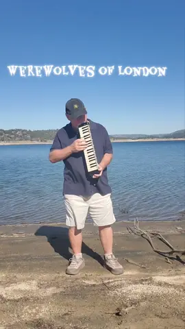 playing Wetewolves of London by Warren Zevon #halloween #rockmusic #70smusic #70srock #classicrock #melodica #coolsong #funsong #halloween 