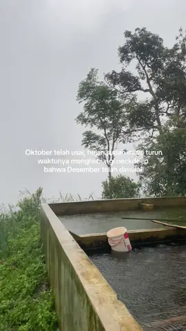 ☔️ #foryou #desember #neckdeep #wongkalahan #fyp 