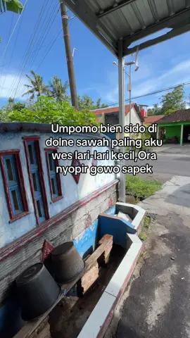 #jogja24jam  #l300_pickup  #juraganmuda  #jagungbalap🌽  #xybca 