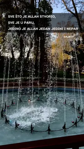 #hajrudinahmetovic #allah #istina #dajkov #turkiye 