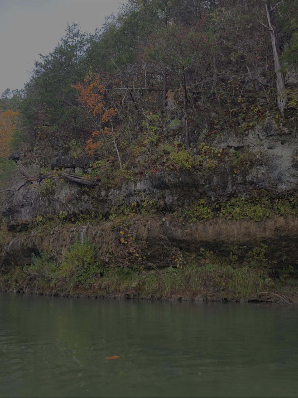 #rain #adventure #peace #River #nature 