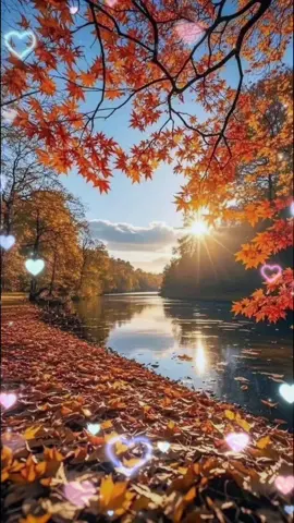 Buenos dias 🤗 😘 🙏 🌞 ☕️ 🌺 🫂