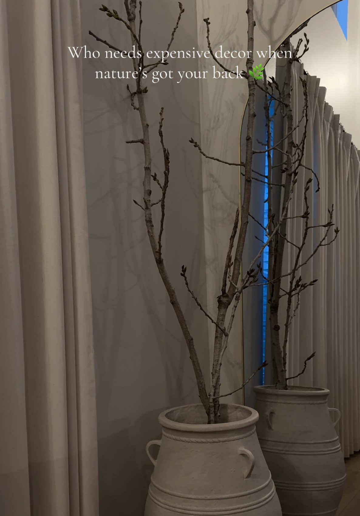 Tell me why these free roadside branches are giving more aesthetic than half the decor in stores 😂 Vase from HomeGoods, mirror from Amazon, and nature did the rest 🌿 Proof that you don’t need to spend hundreds for a cute corner! #amazon #homegoods      #CapCut 