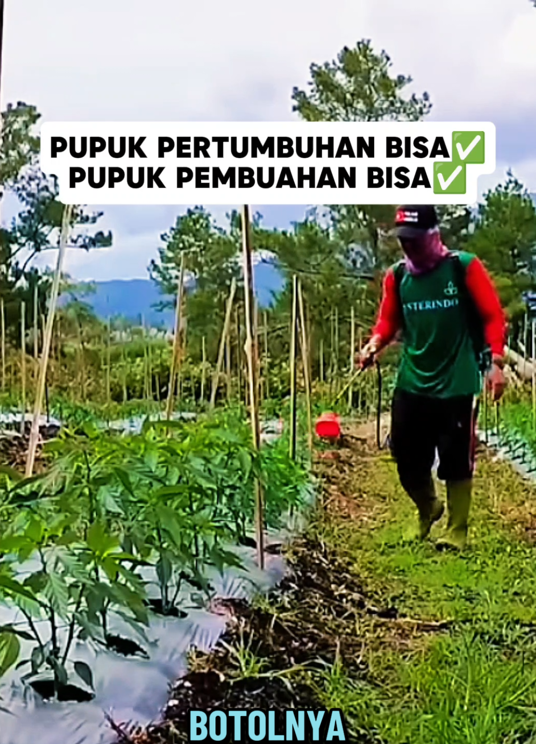 Rekomendasi pupuk tanaman yang terbaik pupuk pertumbuhan dan pupuk buah paling bagus. High Score adalah pupuk organik cair berkualitas tinggi yang diformulasikan khusus dari asam amino alami, mineral esensial, dan bahan organik pilihan. Dirancang untuk mempercepat pertumbuhan tanaman, meningkatkan hasil panen, serta memperbaiki struktur tanah secara alami. 💪 Kandungan Utama: Asam amino organik murni Nitrogen organik (N) Unsur mikro (Fe, Zn, Mn, Cu, B, Mo) Ekstrak rumput laut & bahan bioaktif alami 🌱 Manfaat Utama: ✅ Merangsang pertumbuhan akar dan tunas baru ✅ Mempercepat pembentukan bunga dan buah ✅ Meningkatkan daya tahan tanaman terhadap stres (cuaca, hama, penyakit) ✅ Memperbaiki penyerapan unsur hara dari pupuk lain ✅ Menjaga kesuburan dan keseimbangan mikroba tanah  #AsamAminoHighScore #PupukOrganikCair #PertanianModern #PetaniMilennial #creatorsearchinsights 