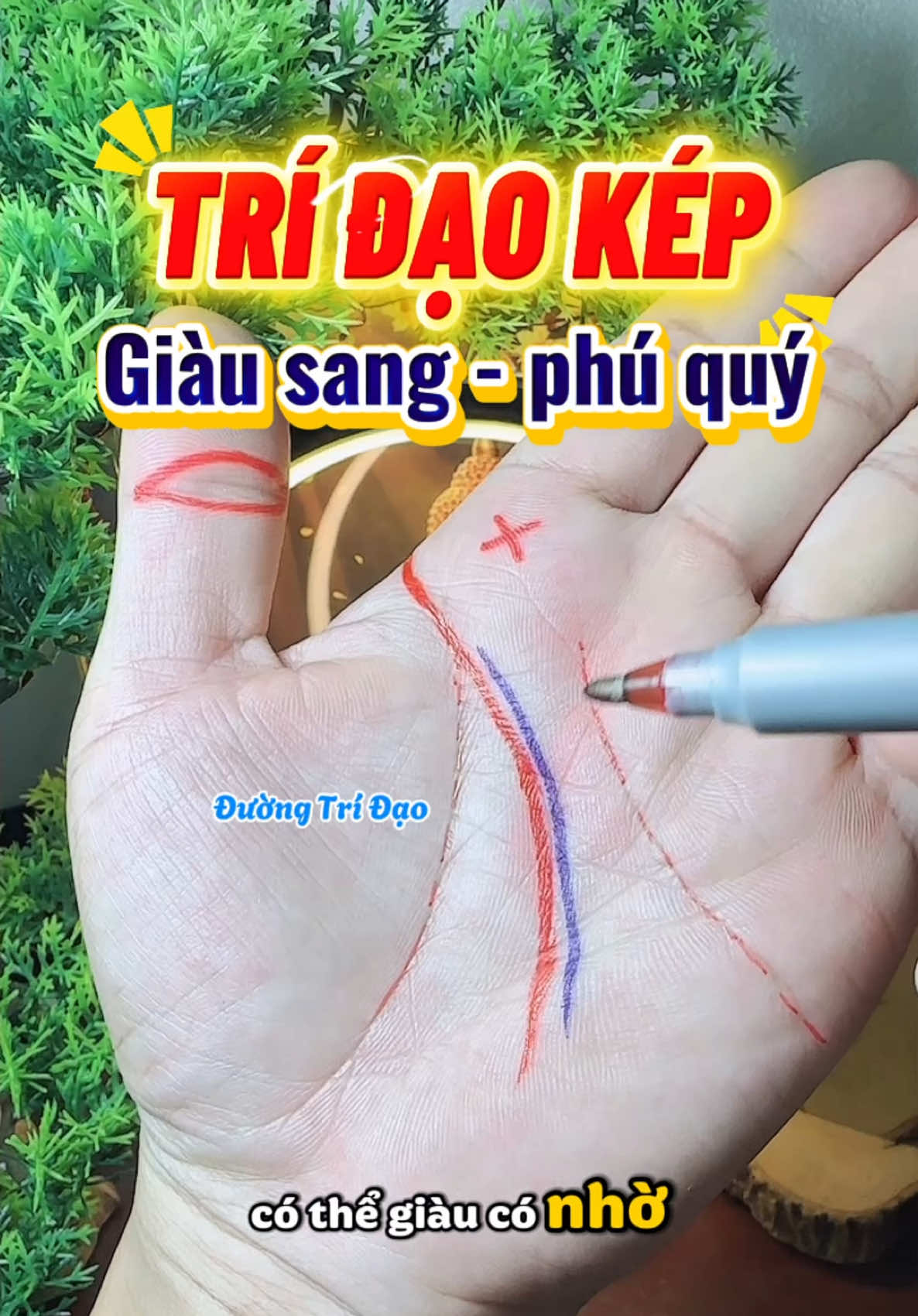 Đường Trí Đạo kép. Rất quý. Dấu hiệu giàu sang phú quý hậu vận. Bạn sở hữu không?  #giaimachitay #0974569545xemchitay #phongthuythaonguyen #trungnhantuong37 