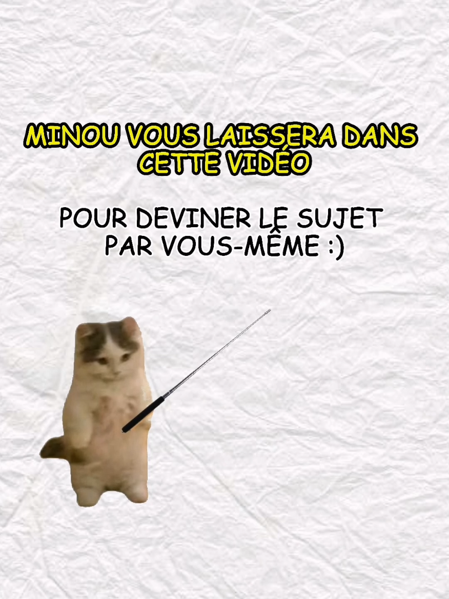 Devinez le sujet... :) #chat #minouexplique 