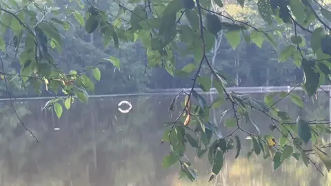 #nature #lake #breathe #relax #4u 