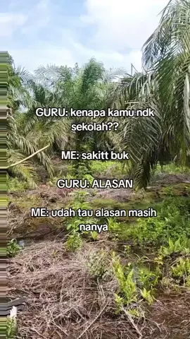 oke guru😂#petani #bismillah #xyzbca 