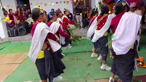 Chintang🎈Sajela nach