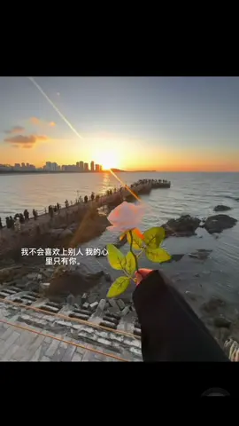 我不会喜欢上别人 我的心里只有你。 #爱情 #fyp #热门 