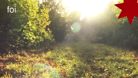 fazer um mpb agr ne, prq c eu continuar fazendo vdo depre, vo ter uma recaída bem feia 🤤 #lyrics #tipografia #mpb #foryoupage 