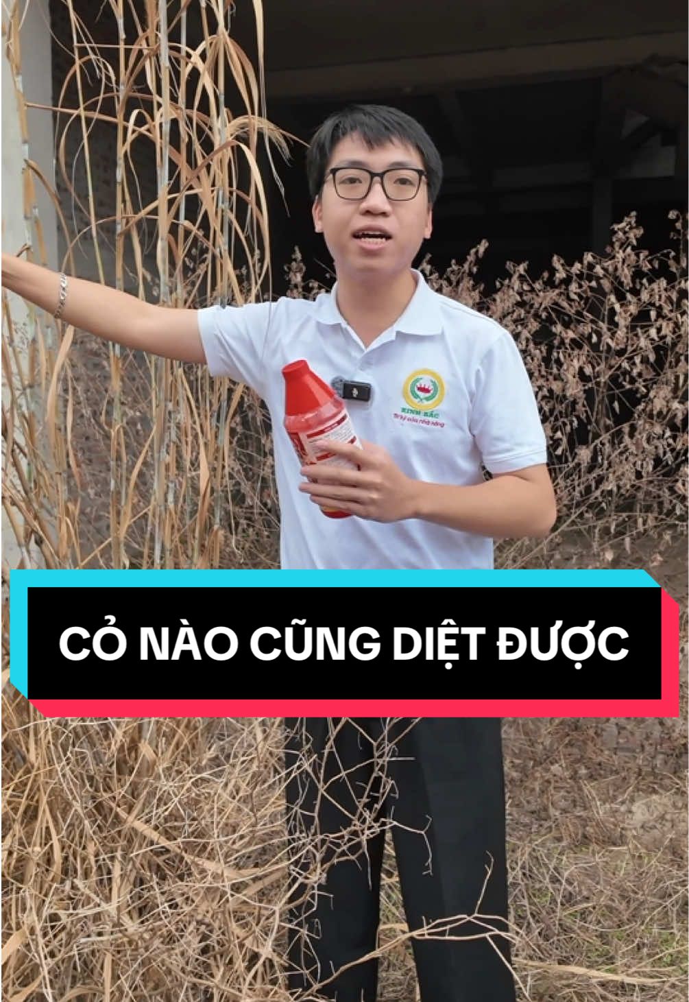 XỬ LÝ MỌI LOẠI CỎ CHỈ VỚI 1 LẦN PHUN. THIÊN LÔI THUỐC CỎ CỦA KINH BẮC