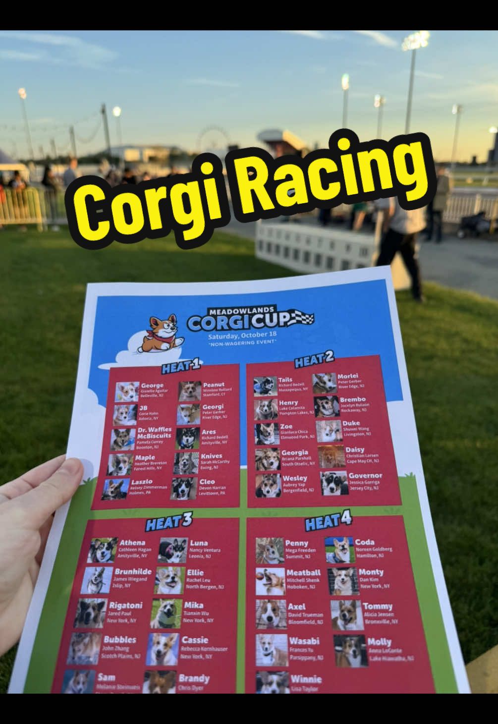 Sometimes you have to side quest to the thing you see a highway billboard for #corgirace #corgi 