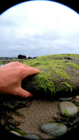 #CapCut  10301  You can download the same style dynamic wallpaper for free,the template in the lower left comer is ready go and try lt!#DynamicWallpaper #capcutforus#capcut #capcutpioneer