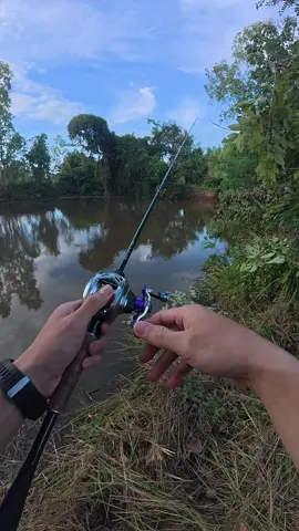 กบยางดำน้ำ แก้ปลาเคี่ยวๆ #กบยาง #กบยางดำน้ำ #เหยื่อปลอม #เหยื่อดี  #ฟีดดดシ 