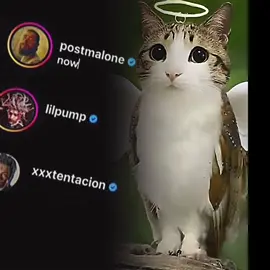 #meowl #fyp #viral #rap #liluzivert 