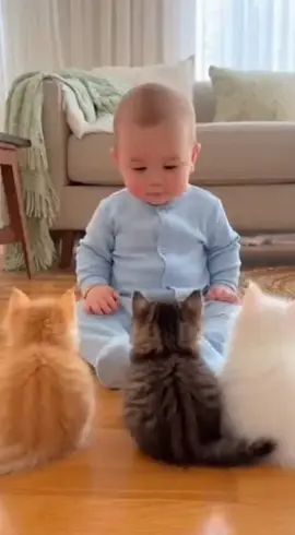 Bayi lucu ini sedang bercanda main tembak-tembakan dengan tiga kucing imut! 🍼🐾 Ekspresi kucingnya serius banget, padahal cuma main-main 😆❤️ #BabyAndCats#MainBarengKucing#BayiLucu#KucingLucu#MomentsLucu