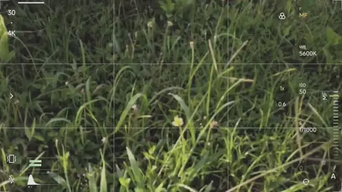 pagi ini cerah 🤗 #pocox6pro #colorgrading #asaljepret #morningvibes #fyp 