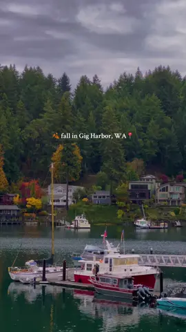October went by too fast. #pnwlife #washington #autumnaesthetic #rainydays 