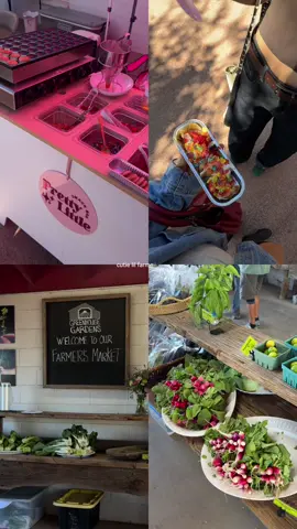 cute little farmers market right down the street from our house🥹🤍 #az #farmersmarket #sunday #fresh #sister 