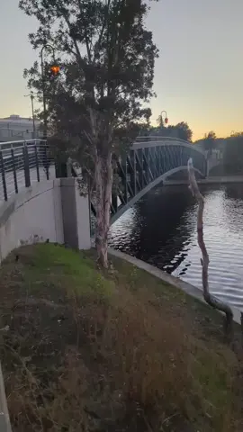 This pedestrian bridge didn't use to exist. But people organized and fought for it and all sorts of other improvements for Lake Merritt -- and they won. You can win the changes you want to see if your community and my book If You Want To Win, You've Got To Fight: A Guide To Effective Transportation Advocacy is here to help you have an easier time winning the changes you want to see in your community. Whether you want more #pedestrian #infrastructure better #bike lanes or more #transit -- the book is for you