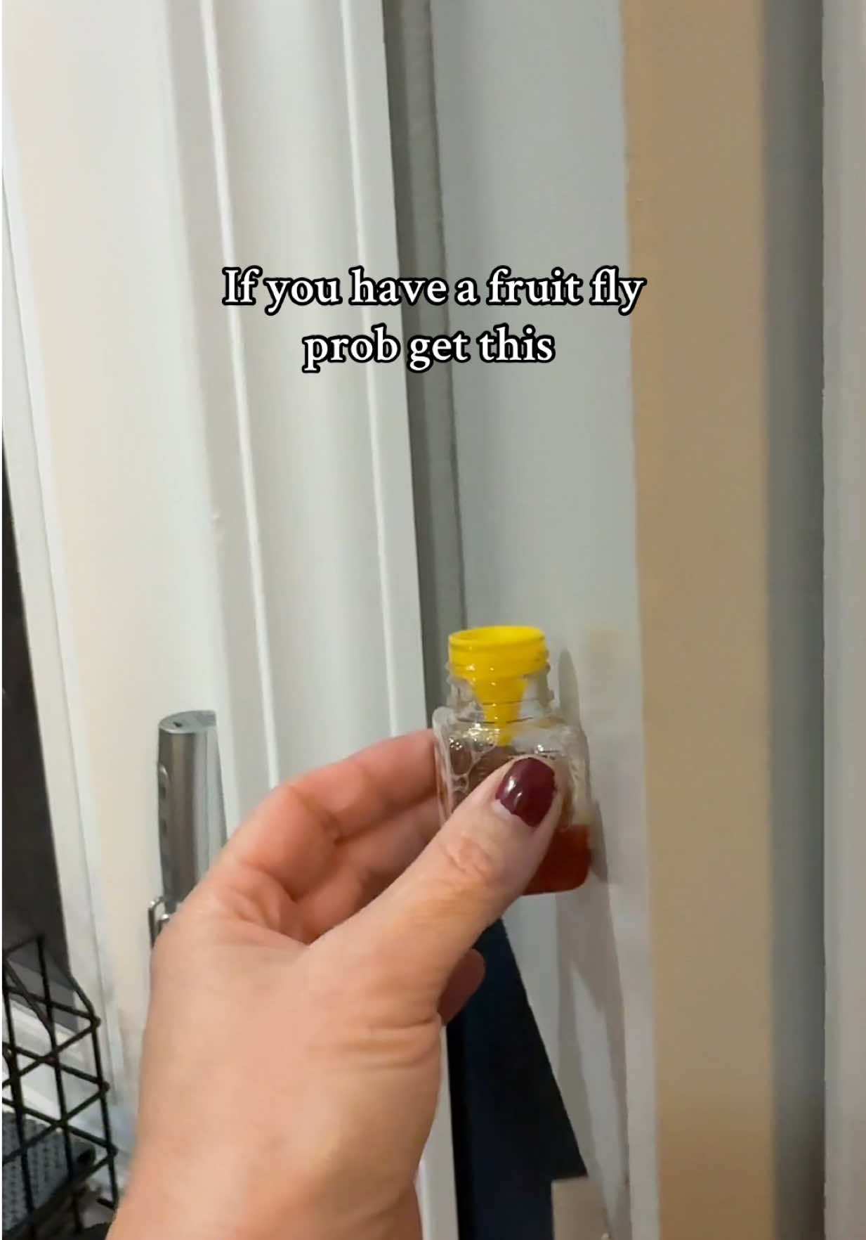 Fruit Flys be gone ✨ #fruitfly 