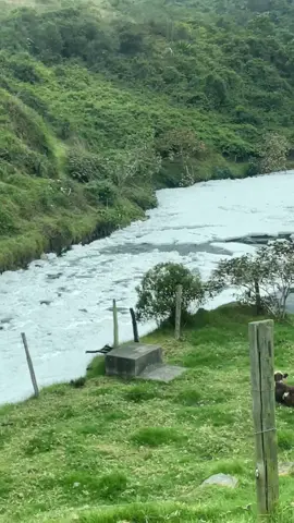 Los Alpes Cochinos   🚫⚠️♻️❌☢️ #aquidesdecanada #losalpes 