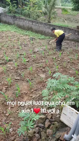 ngày thứ 1 tập xây kênh mọi người lướt qua cho em xin 1fl với ạ#nguoimoixaykenh #xâykenhtiktok #moixaykenhtiktok 