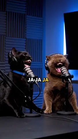 Gatorrisa Podcast | Episodio 3 🐱 ¿Qué es lo más gracioso que hace tu gato? 😅