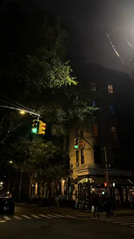 autumn leaves falling down like pieces into place. 