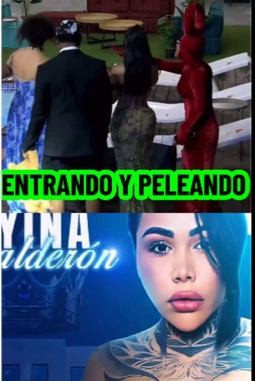 #PaidPartnership #LIVEStory #LIVEIncentiveProgram Yina entrando y peleando #streamer #stream 