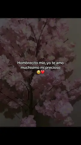 #parati #dedicaselo #novios #parejas #etiqueta @Anthony5_P hombrecito mío yo te amo🥹❤️