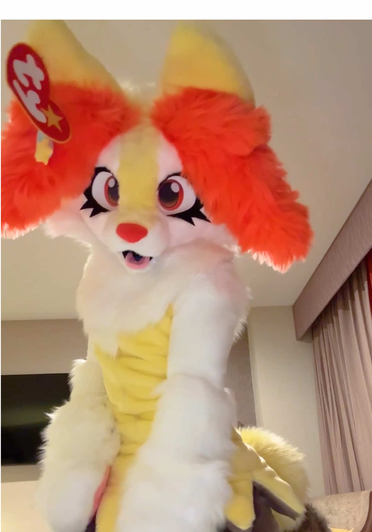 braixen tutorial 