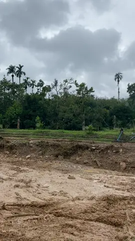 #ฟีดดดシ #ใจมันรัก🚜🔰🔰 บ้านในวง 🌳💯