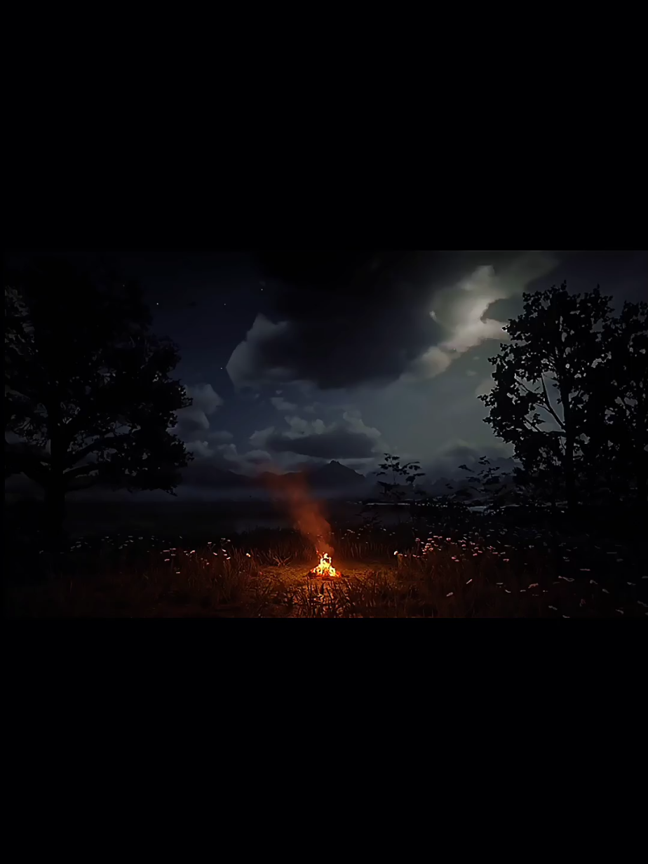 #عمر_ضياء_الدين#قران_كريم #سوره-النور#هدوء #مسلم 