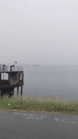 เมื่อออกจากบ้านแล้วลูกต้องเข้มแข็ง #storyความรู้สึก  #แคปชั่นโดนใจ  #ฟีดดดシls 