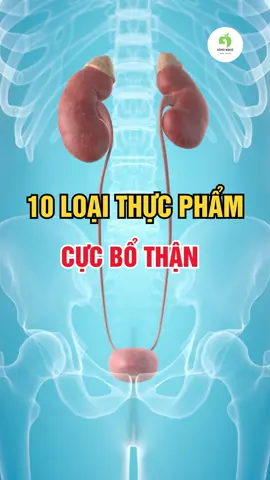 10 Loại Thực Phẩm Cực Bổ Thận! #than #thucpham #songkhoe #songkhoemoingay #suckhoe 