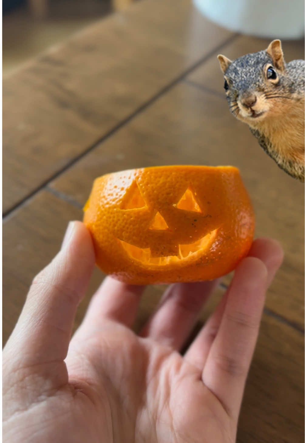 the way he carried it off🎃🐿️ ✨who knew mandarin oranges are excellent little trick or treat baskets for small forest friends ☺️  I saw a video from the one and only : @Sibia - she makes these every year to put around her home! ✨🎃After we made a few, I immediately thought that a tiny little basket like this needs to be given to a tiny little someone. My toddler was thrilled and I feel like this may be our new favorite Halloween tradition✨ #fallcrafts #falldiy #halloweencraft #squirrelsoftiktok #craftsforkids 