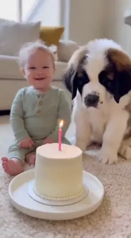 I was trying to film the baby... but the puppy stole the show 😂  #dogsoftiktok #happybirthday  #funny #babyanddog #happybirthday