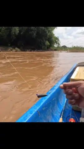 ចូលចិត្តស្ទូចត្រីចូលចិត្តធម្មជាតិបែបចឹង#fypシ゚ #fypシ゚viral #fyppppppppppppp #edits 