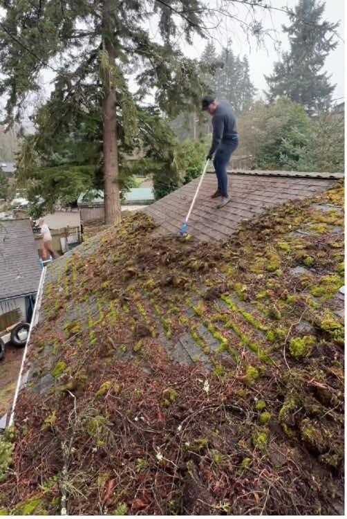 #lawnmowing #lawncare #cleaningasmr #cleaninggarden #cleaningasmr 