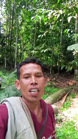 mana nasi#komedihiburanlucufyp🤪 