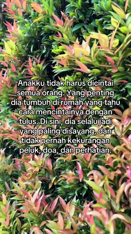 Bahagia selalu anakku 🧡 #cucukesayangan #anakpertama #remember #fyp #menantu 
